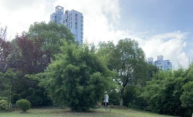 �űȵ�����С�r����Ƭ���W�t�űȵ��� 