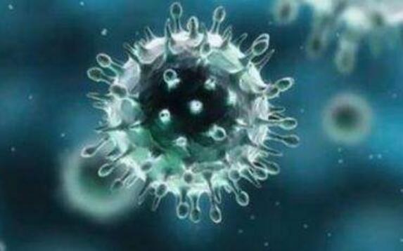 �Ϻ��㽭���K��ͬһ���P����,���鲡 